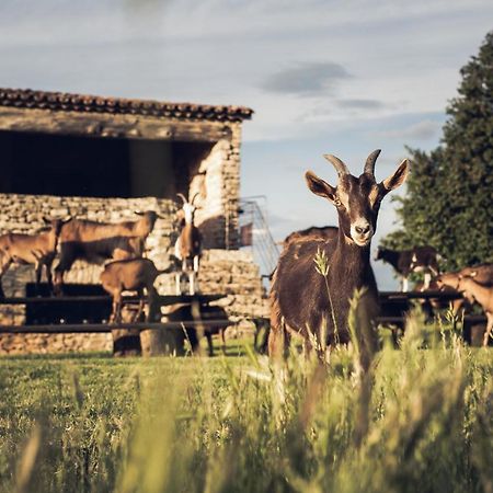 Le Domaine Du Castellas Sivergues ภายนอก รูปภาพ