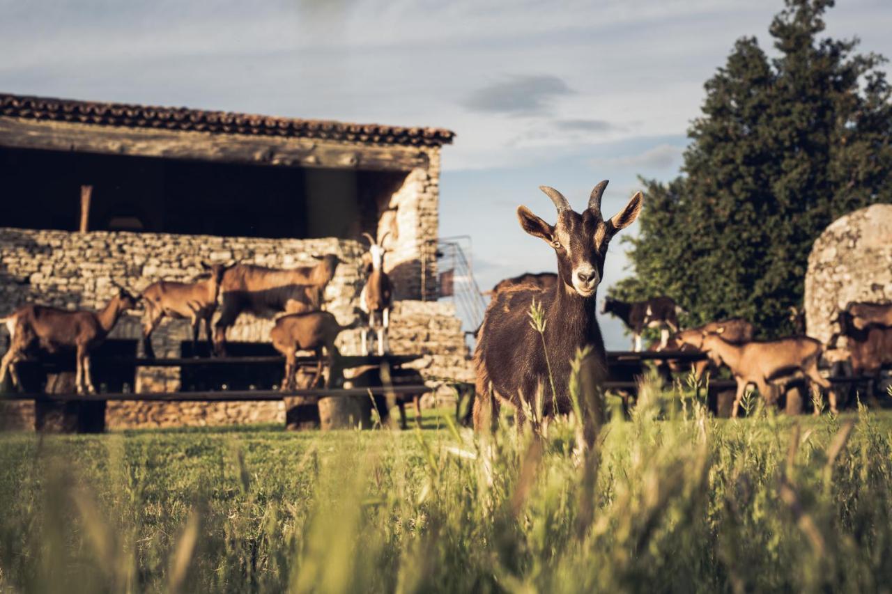 Le Domaine Du Castellas Sivergues ภายนอก รูปภาพ